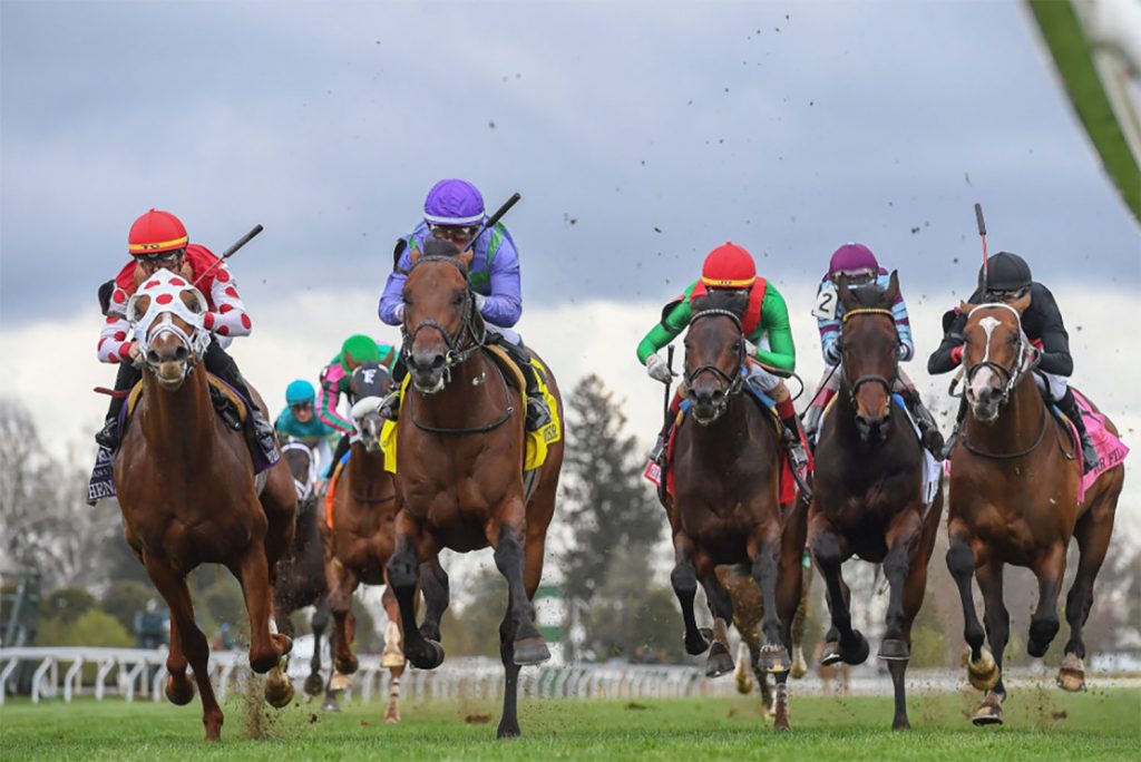 Queen's Plate Winterbook favourite Avie's Flatter wins his season's debut