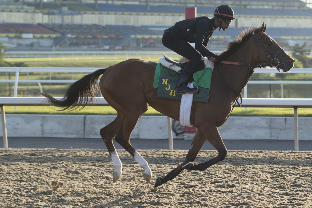 The Queen’s Plate: Lady Power