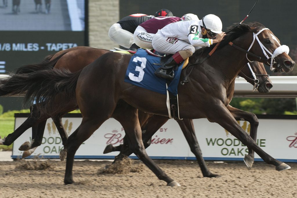 Clayton takes top spot in the 161st Queen’s Plate Power Rankings presented by OLG Canadian Triple Crown