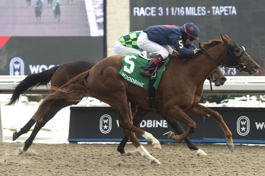 Gun Society aims for Fury victory