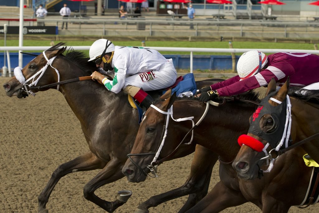 Queen’s Plate post position draw to be live streamed on September 9