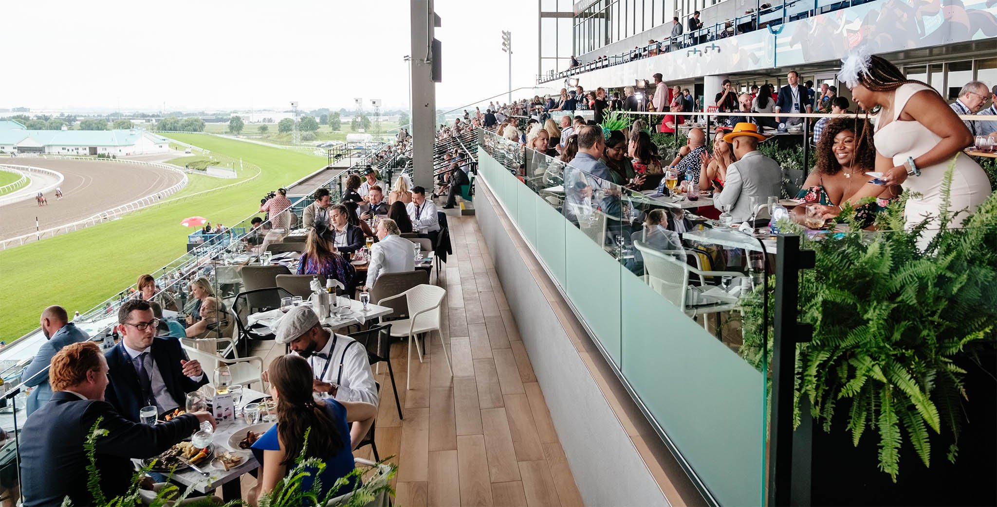 Stella Gallery 05 Resized