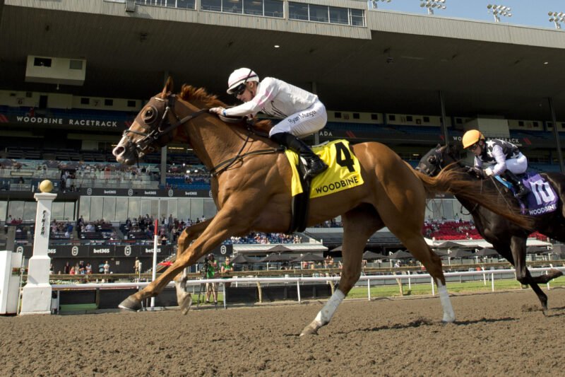 Sedbury's Ghost and jockey Ryan Munger winning the Plate Trial Stakes on July 20, 2025 at Woodbine (Michael Burns Photo)