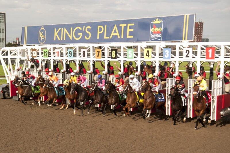 166th King's Plate - Media Guide