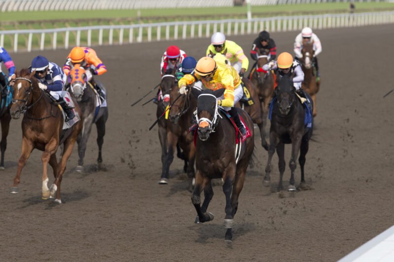 Mansetti and jockey Pietro Moran winning the 166th King's Plate on August 16, 2025 at Woodbine (Michael Burns Photo)