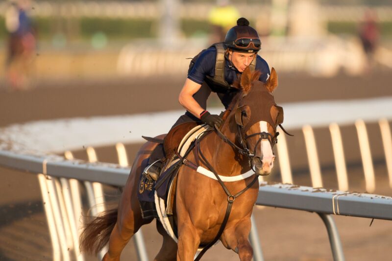 Sheri Riddoch: How to bet the King’s Plate