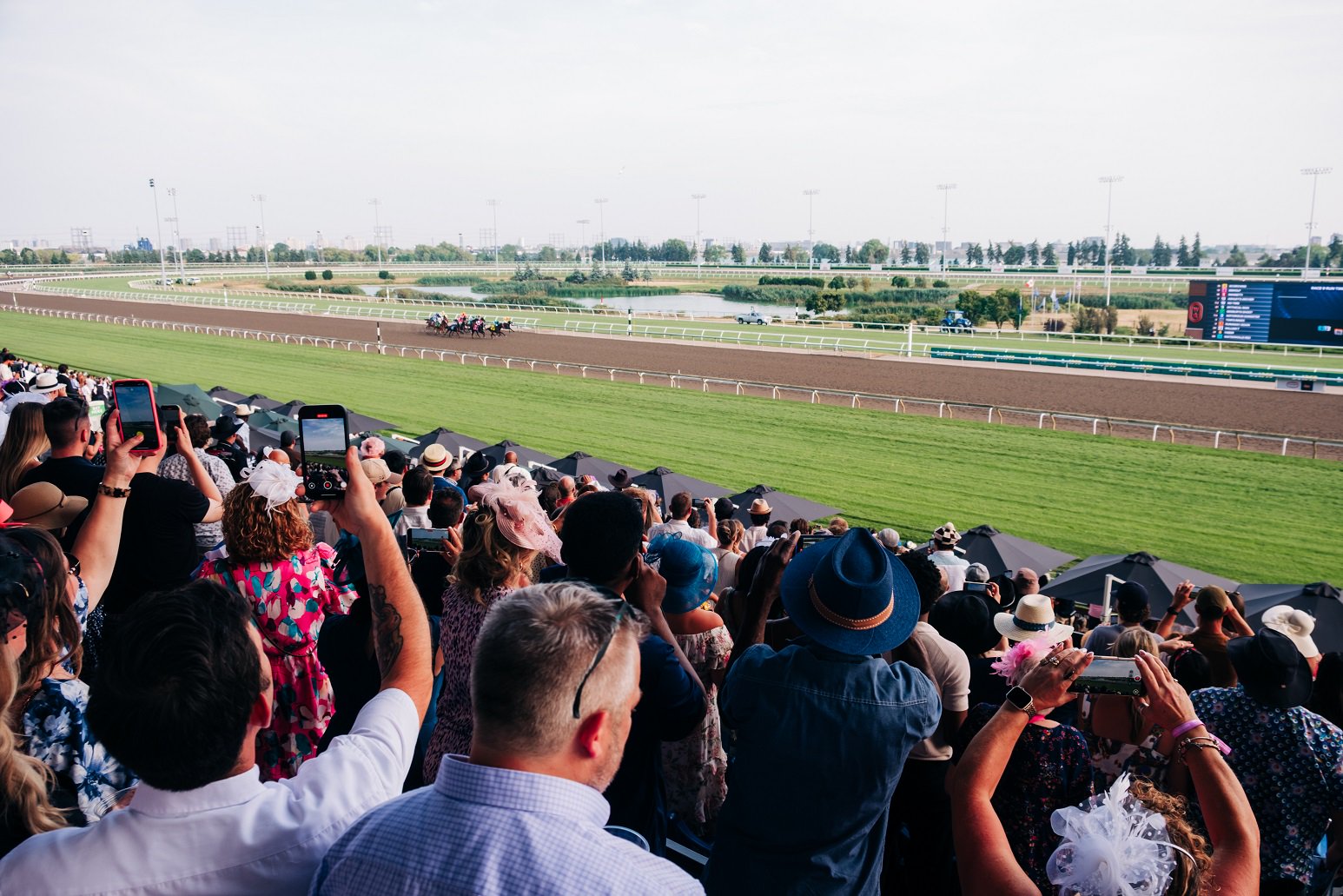King's Plate at Woodbine Racetrack Grandstand Experience