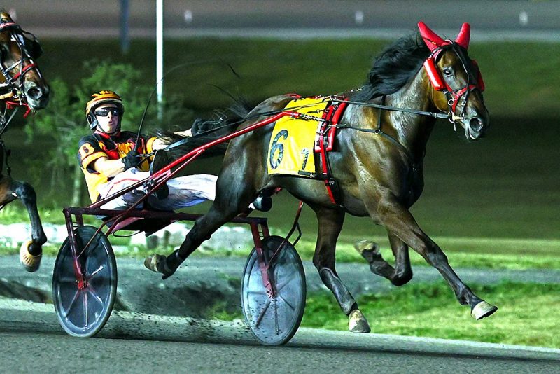 Oh Look Magic and Matt Bax winning an elimination of the Wellwood Memorial.