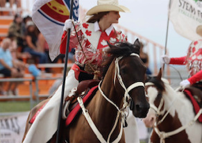 The Cowgirl and Bugsy
