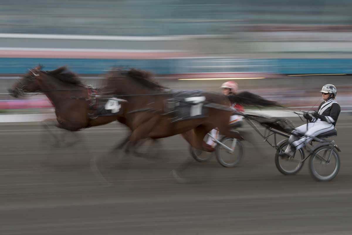 Canadian Pacing Derby And Maple Leaf Trot 2 Image 7 of 9