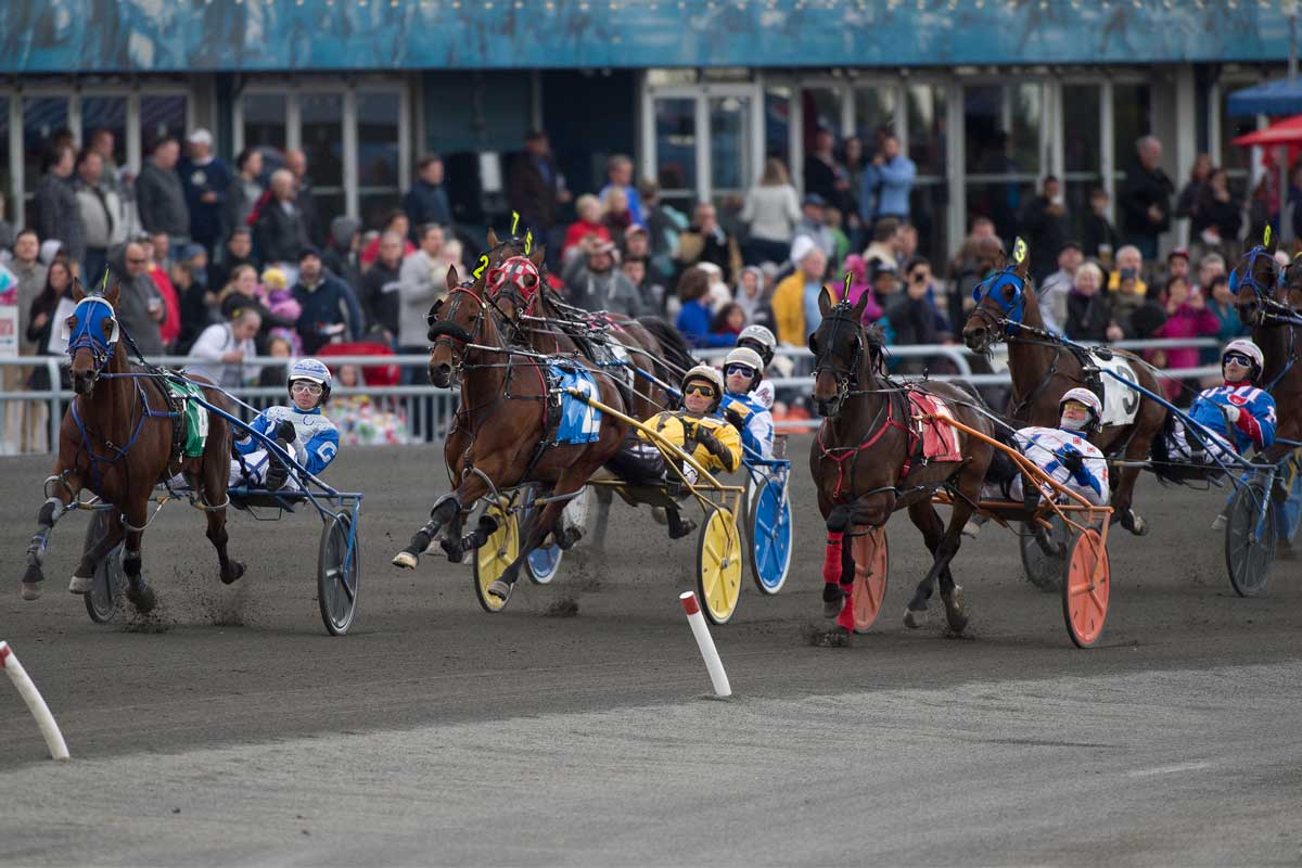 Canadian Pacing Derby And Maple Leaf Trot 4 Image 3 of 9