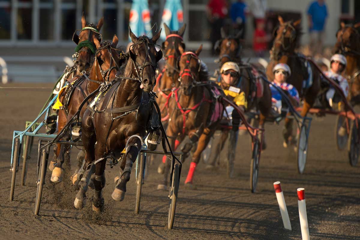 Canadian Pacing Derby And Maple Leaf Trot 8 Image 9 of 9