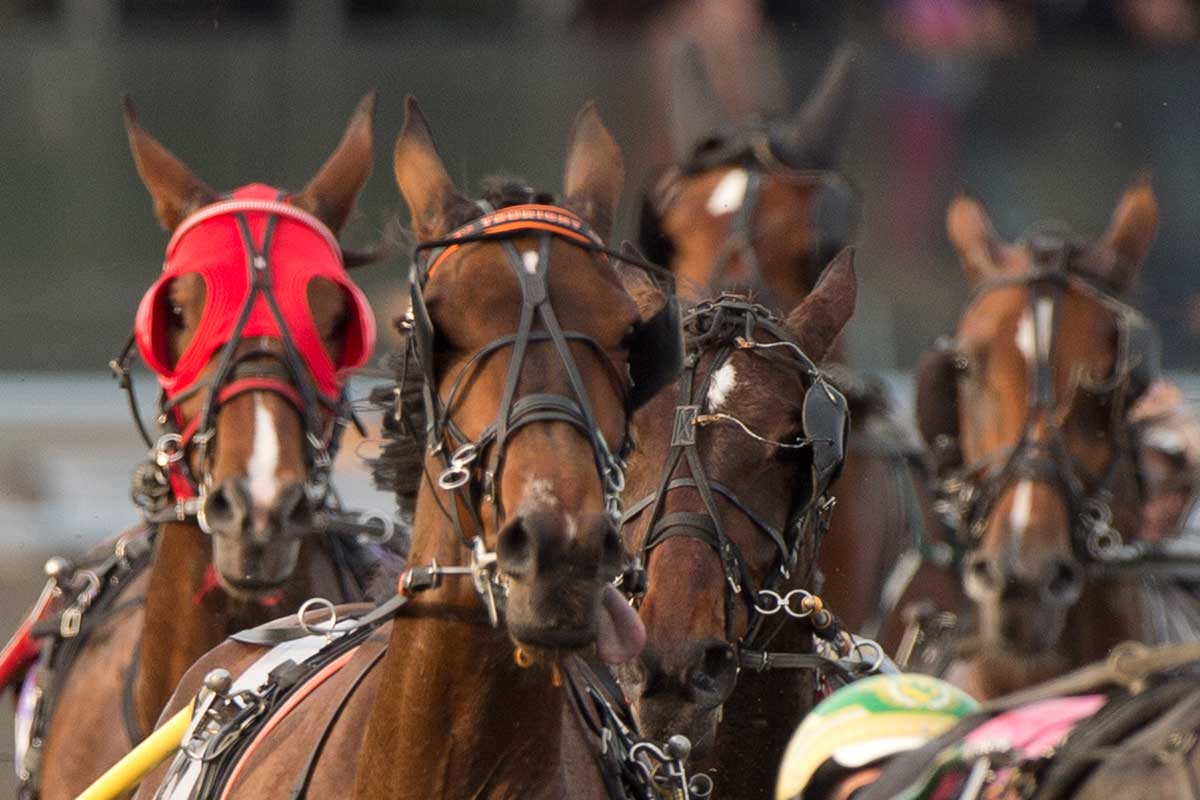 Canadian Trotting Classic