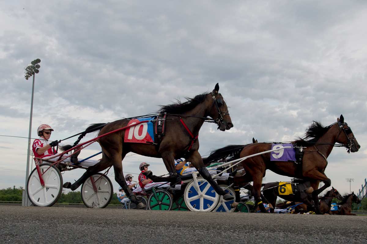 Canadian Trotting Classic race at Woodbine Mohawk Park