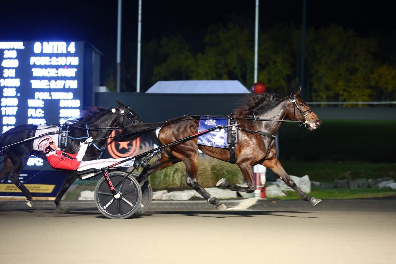 Jiggy Jog S winning the Breeders Crown last October.