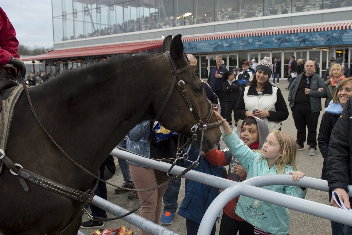 Campbellville Ont.Mohawk Park 2019.Family Fun Night. Woodbine / Michael Burns Photo Image 2 of 20