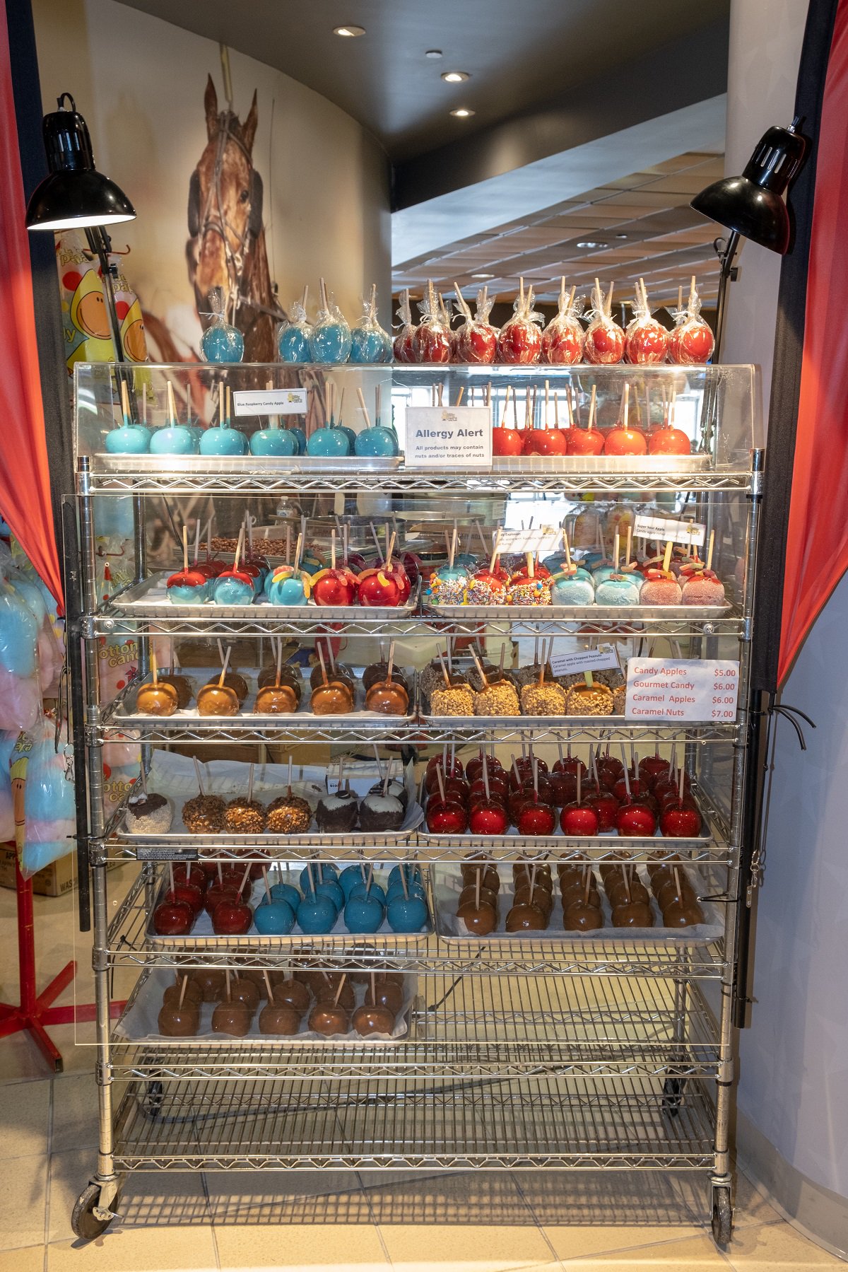 Campbellville Ont.Mohawk Park 2019.Family Fun Night. Woodbine / Michael Burns Photo/ R. Priddle Image 19 of 20