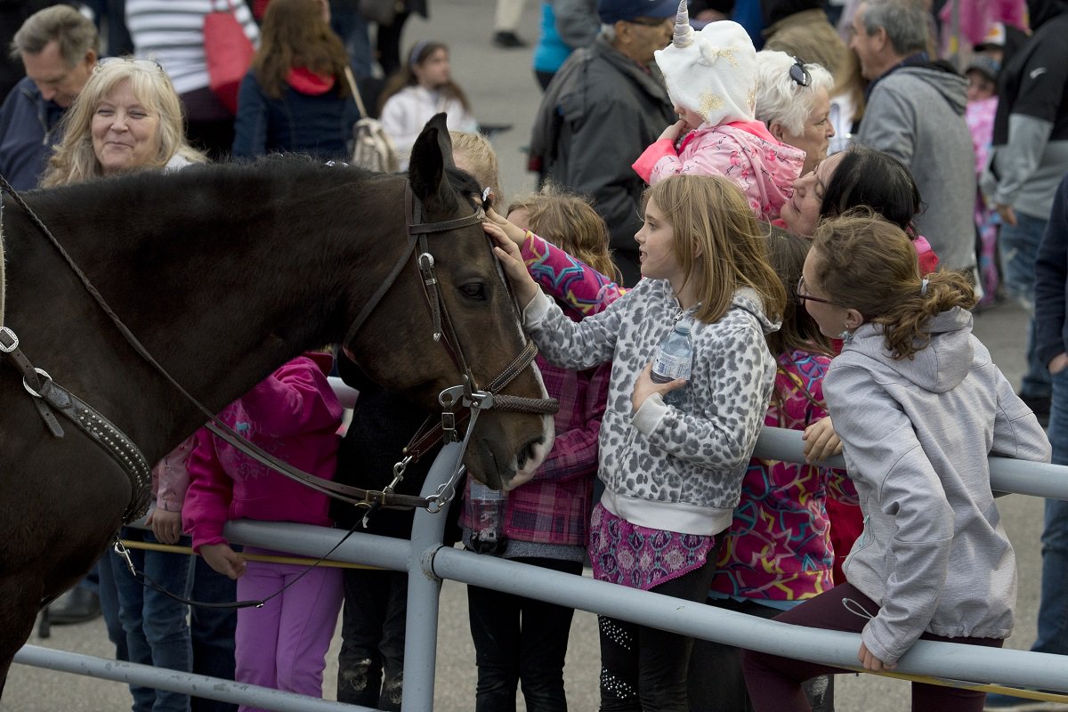 Campbellville Ont.Mohawk Park 2019.Family Fun Night. Woodbine / Michael Burns Photo Image 10 of 20
