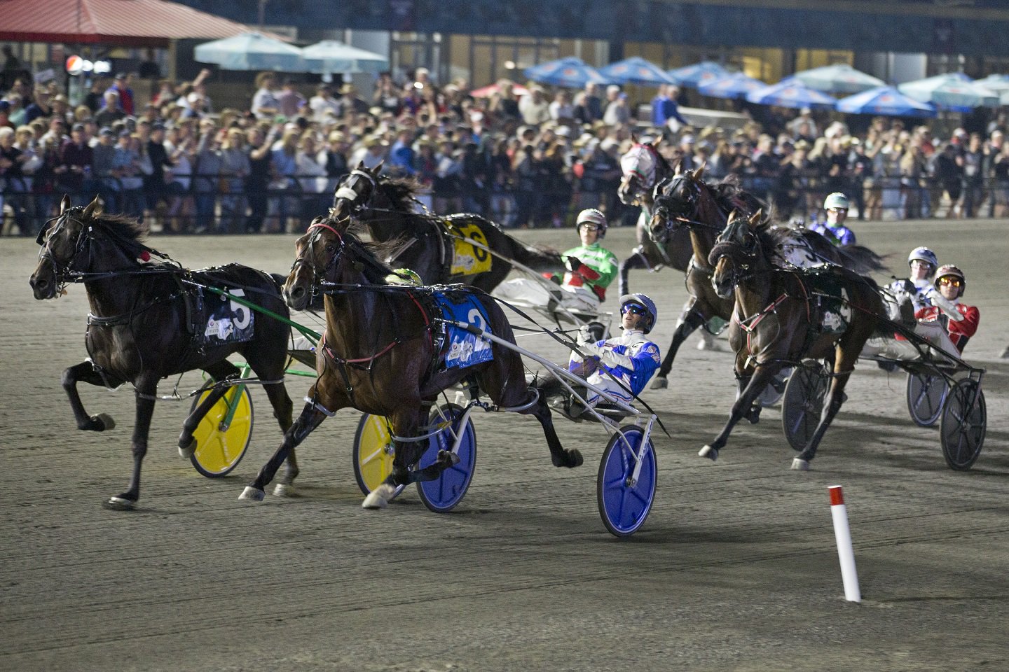 Campbellville On.June 17, 2023.Woodbine Mohawk Park.Driver Scott Zeron Guides Its My Show To Victory Over Fulton To Capture The $1,000,000 Dollar Pepsi North America Cup.Woodbine Mohawk Park/ Michael Burns Photo Image 5 of 43
