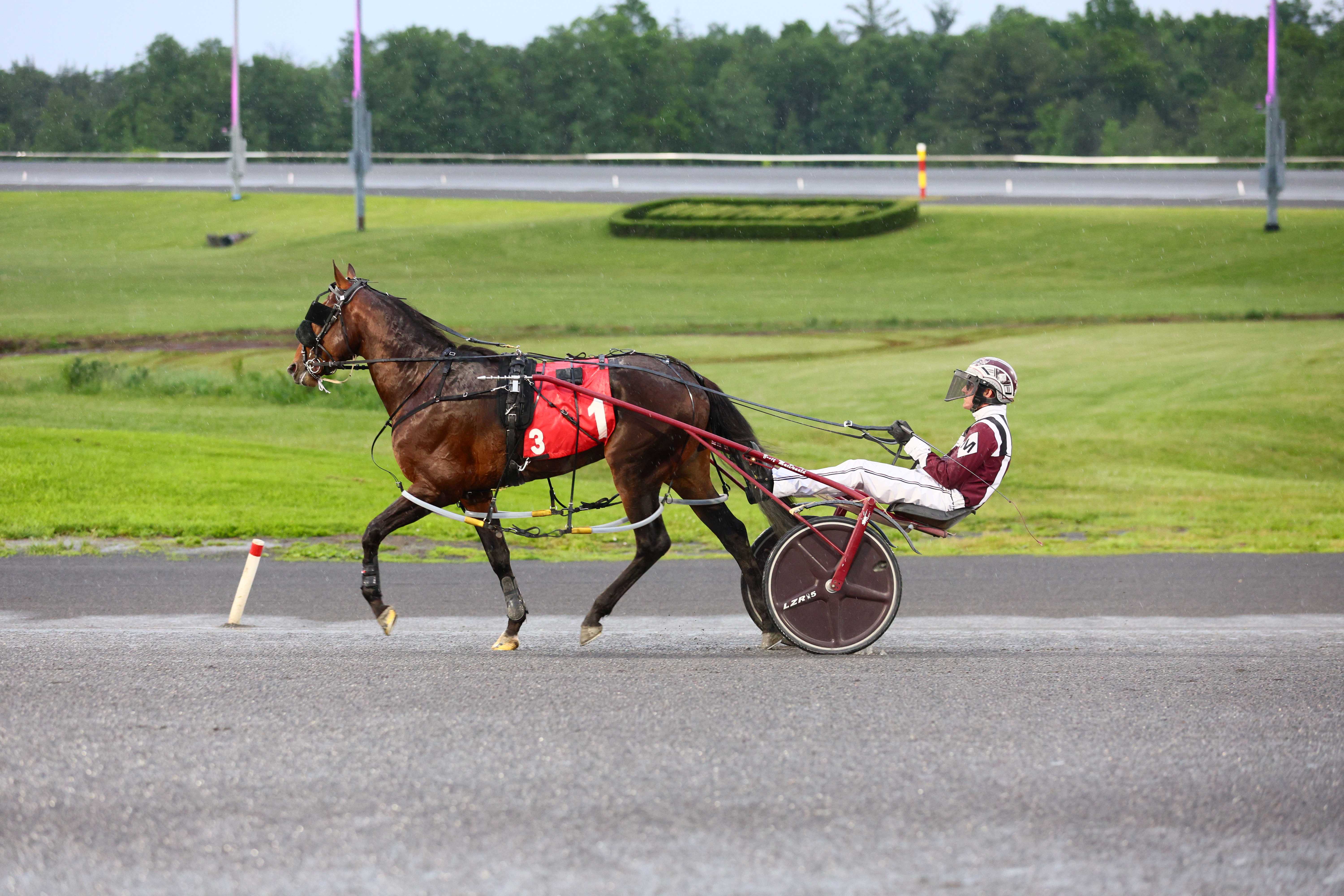 Janelle Granny and driver Brett MacDonald (New Image Media)