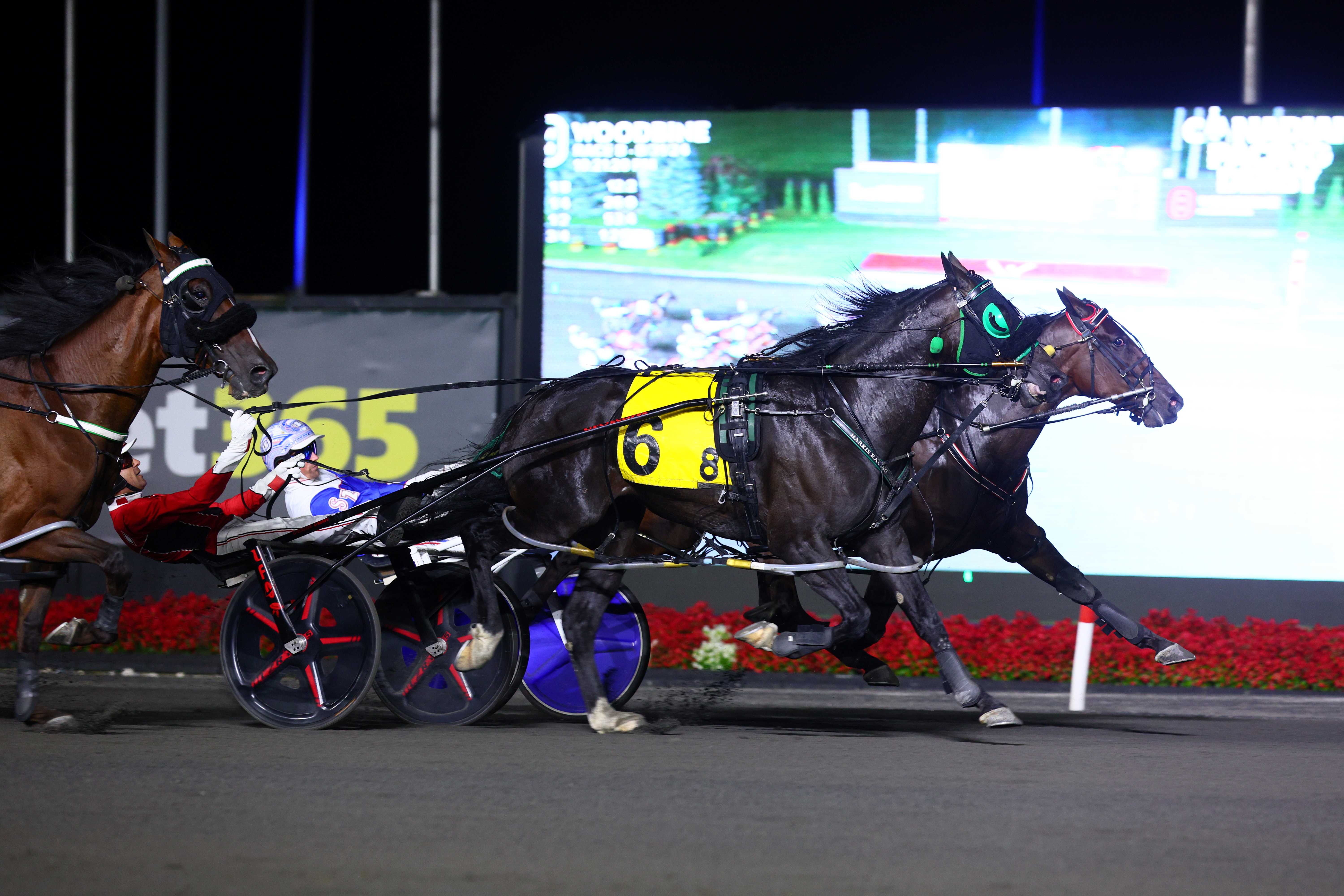 Its My Show and driver Scott Zeron winning the Canadian Pacing Derby on August 31, 2024 at Woodbine Mohawk Park (New Image Media)