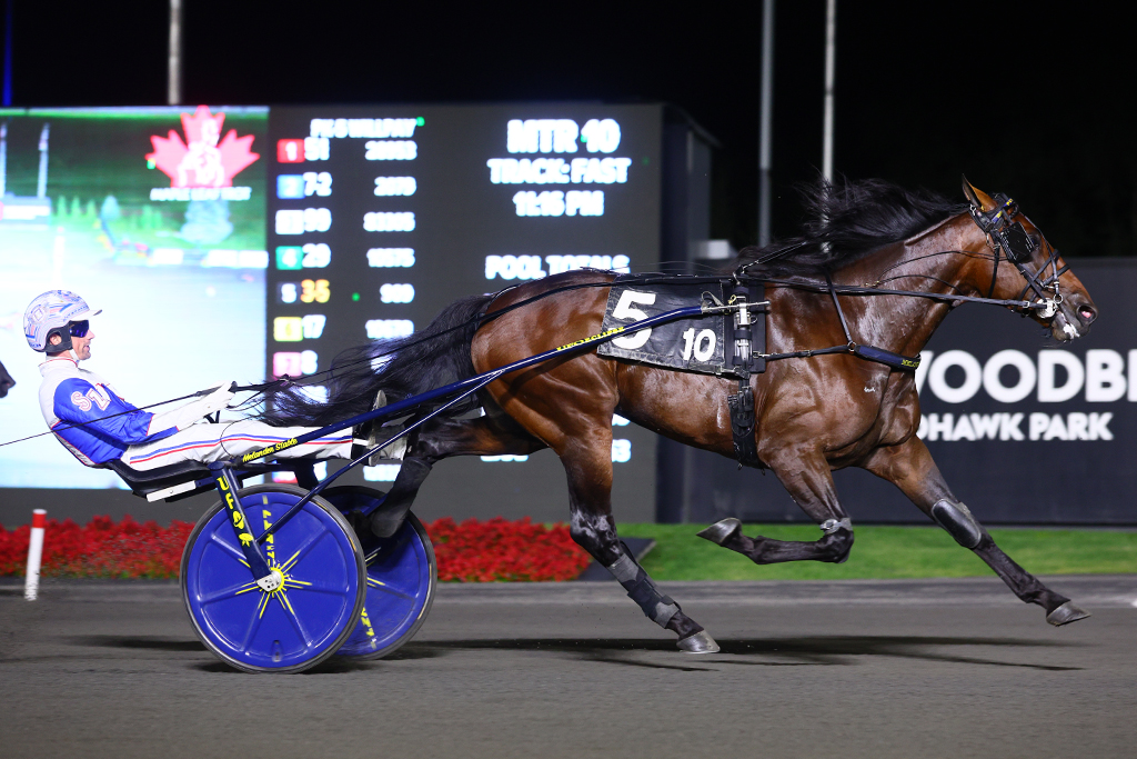 Periculum and driver Scott Zeron winning the Maple Leaf Trot on August 31, 2024 at Woodbine Mohawk Park (New Image Media)