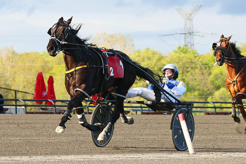 Chantilly, pictured winning an OSS Gold on May 24 at Woodbine Mohawk Park, remains number four in this week's rankings. (New Image Media)