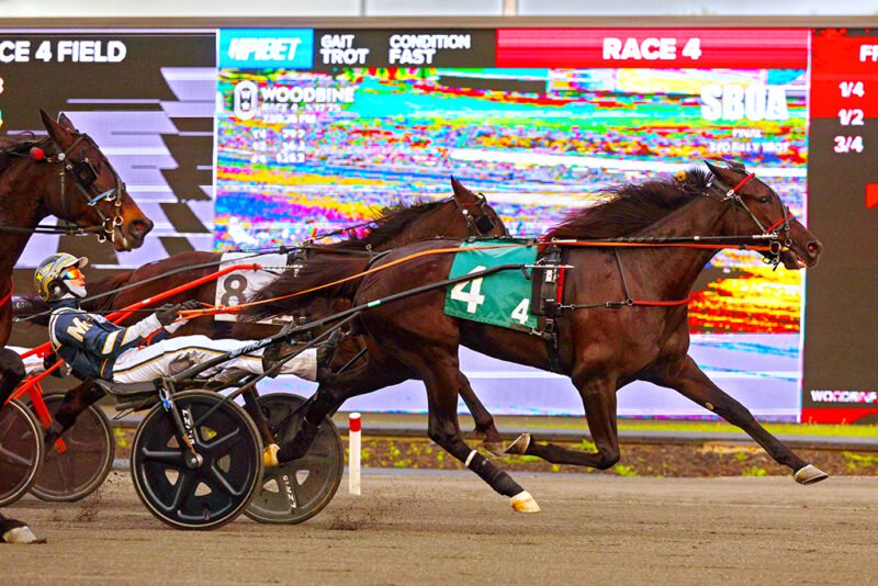 Green Glider. (New Image Media)