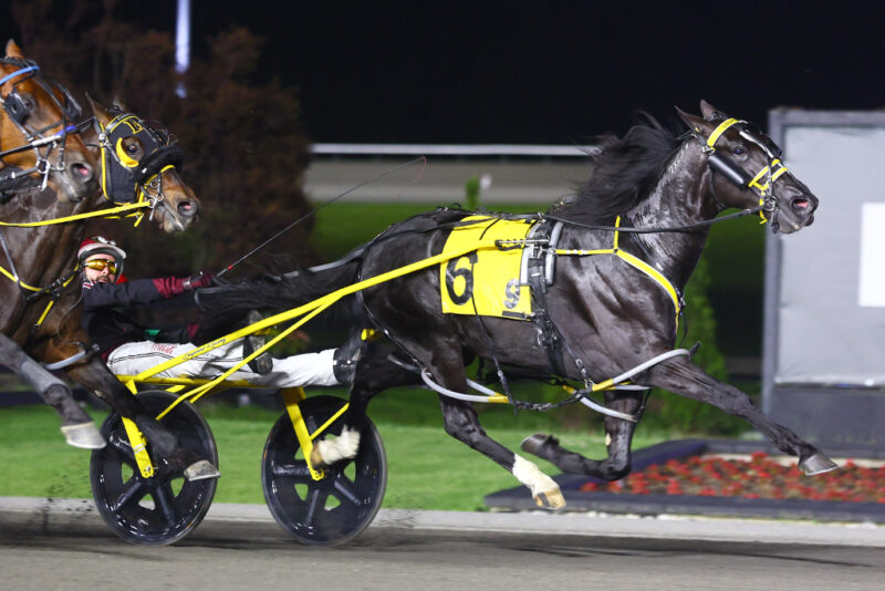 Louprint and driver Ronnie Wrenn Jr. winning the third Pepsi North America Cup elimination on June 7, 2025 at Woodbine Mohawk Park (New Image Media)
