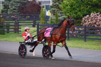 Captain Optimistic. (New Image Media)