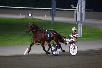 Crack Shot. (New Image Media)