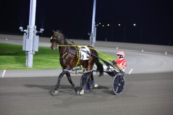 Dandy Ideal. (New Image Media)