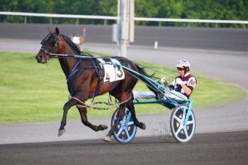 Joel And The Jets. (New Image Media)