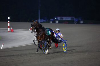 Lite Up The World. (New Image Media)