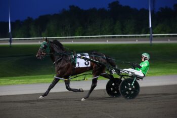 Madden Oaks. (New Image Media)