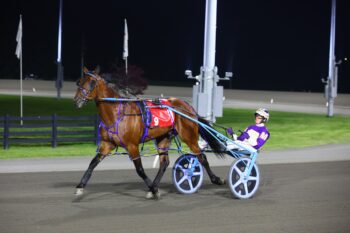 Prince Hal Hanover. (New Image Media)