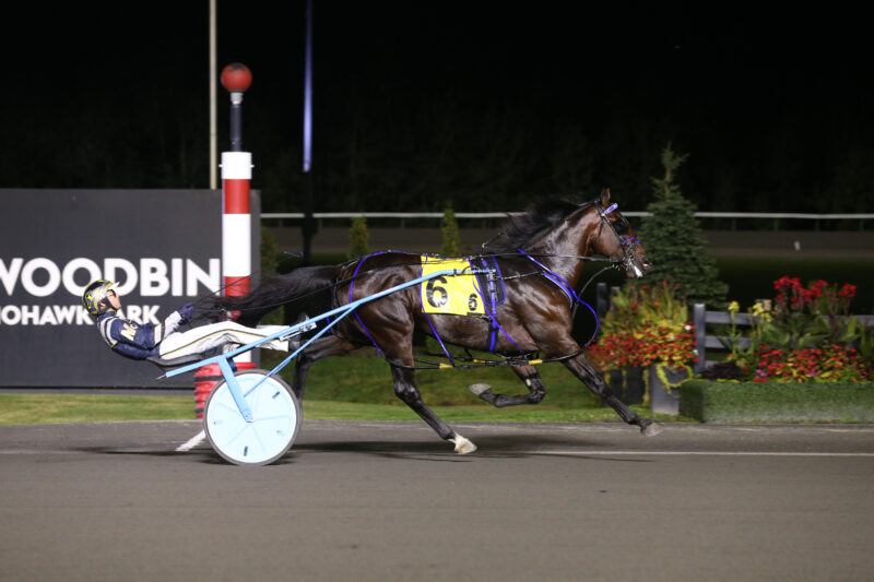 Beau Jangles and driver Bob McClure winning the first Metro Pace Elimination on September 13, 2025 at Woodbine Mohawk Park (New Image Media)
