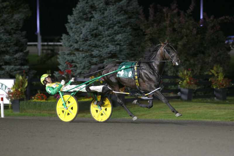 Frantic Hanover and driver Tim Tetrick winning the second Metro Pace Elimination on September 13, 2025 (New Image Media)