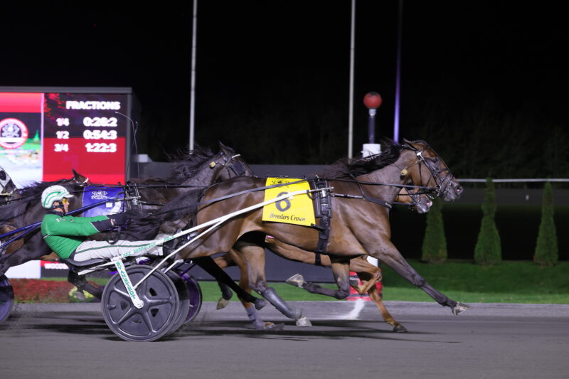 Warawee Michelle and driver/trainer Ake Svanstedt winning the Breeders Crown Open Mare Trot Final on October 25, 2025 at Woodbine Mohawk Park (New Image Media)