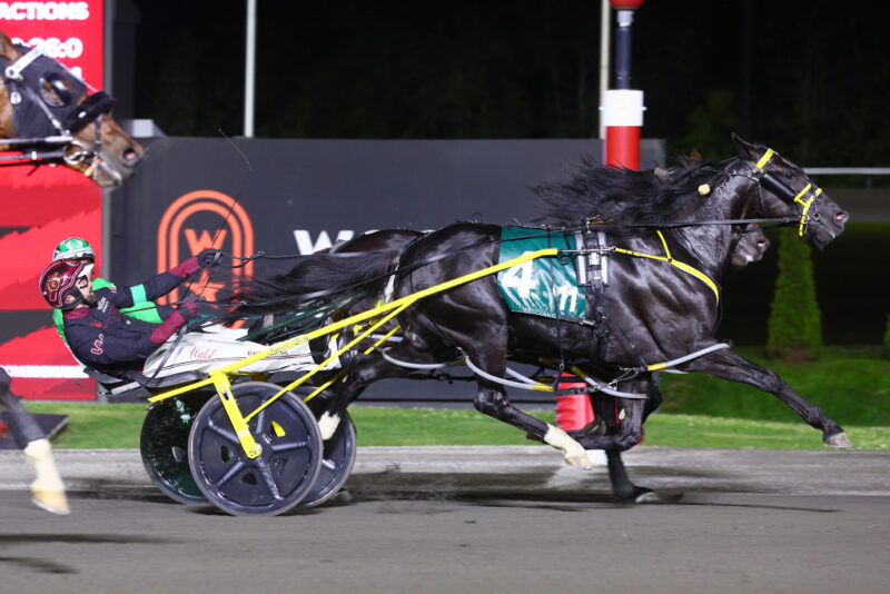 Louprint winning the 2025 Pepsi North America Cup. (New Image Media)