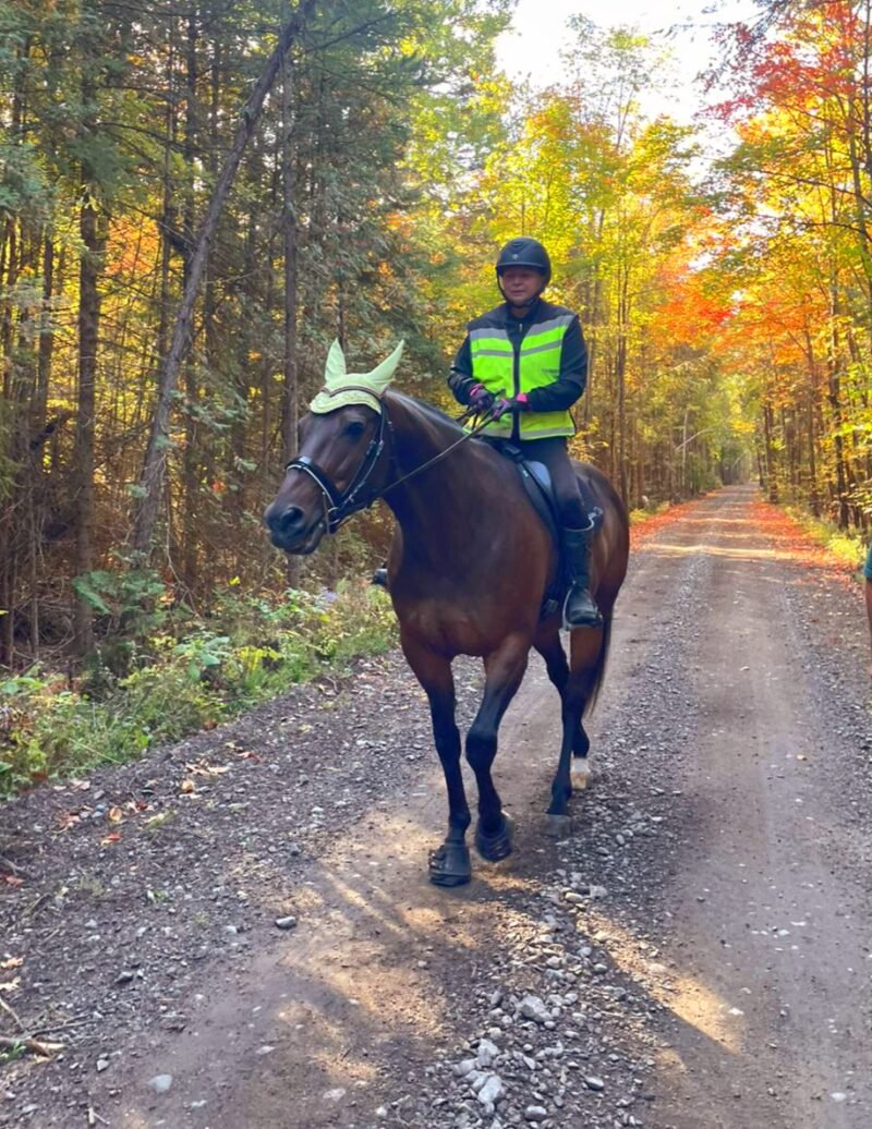 Julie Wilson & Easy Lover Hanover