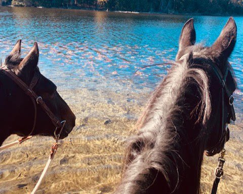 Nutzz N Boltzz & Reven Up